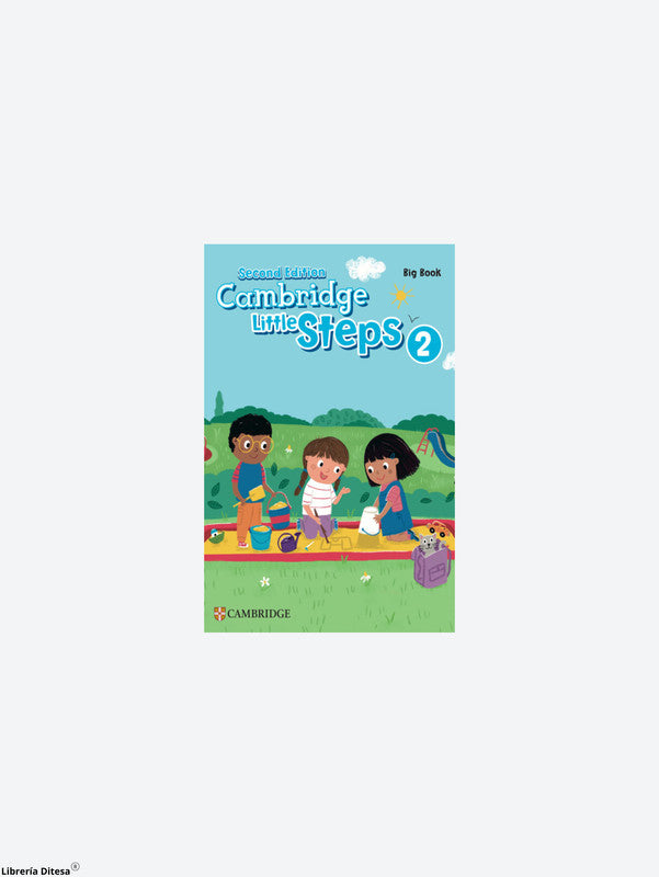 Little Steps 2Ed Big Book Level 2