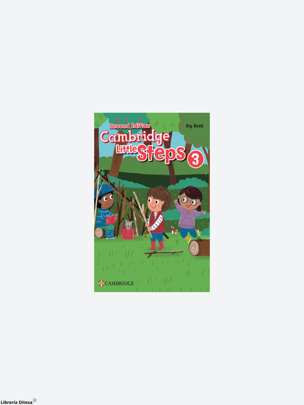 Little Steps 2Ed Big Book Level 3