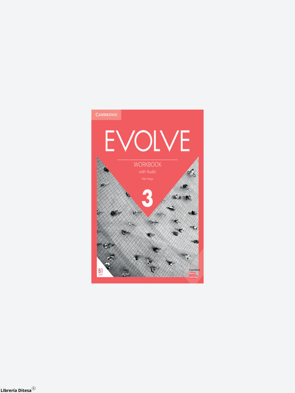 Evolve Workbook With Audio 3