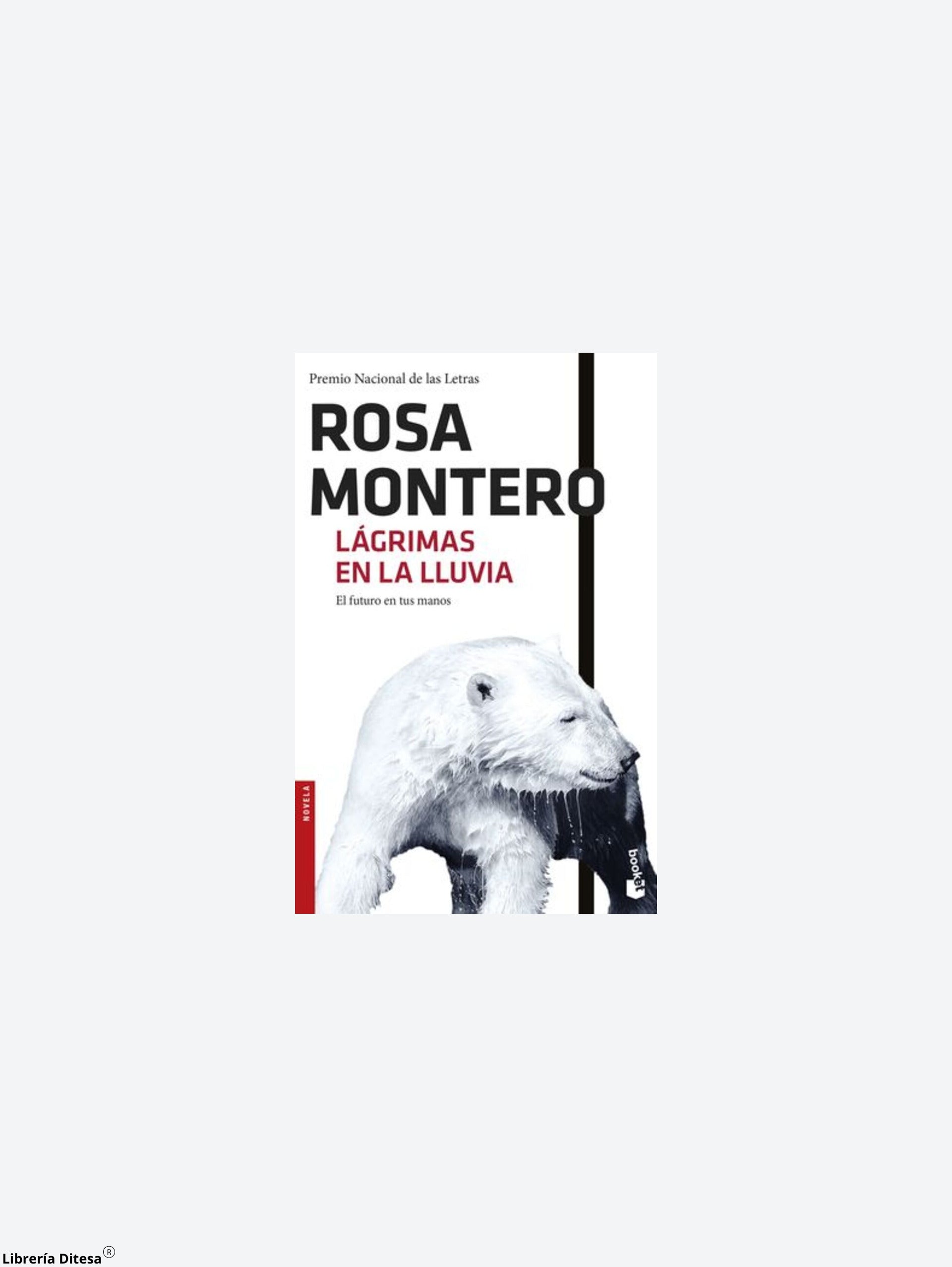 Lágrimas En La Lluvia