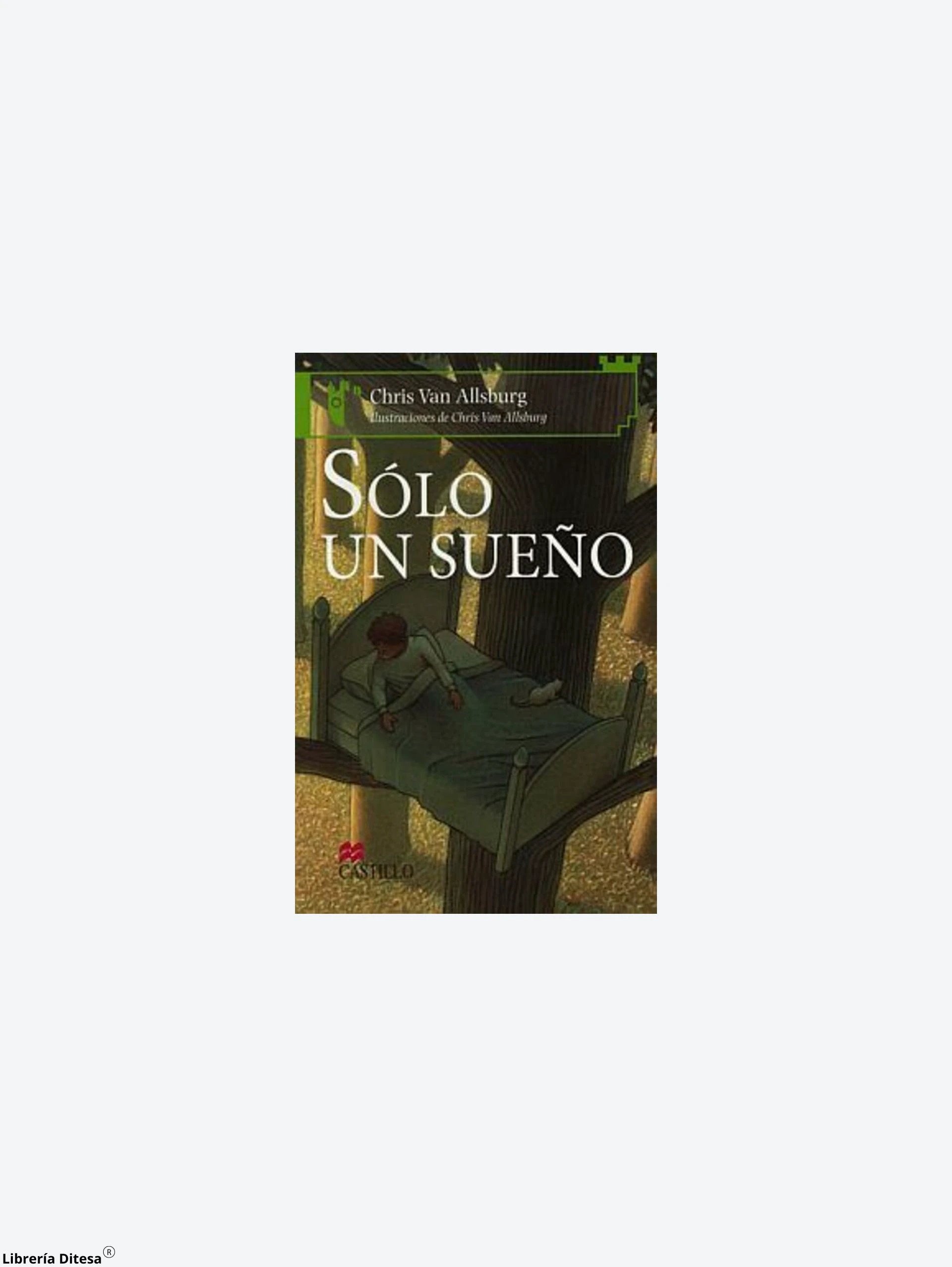 Solo Un Sueño by Castillo