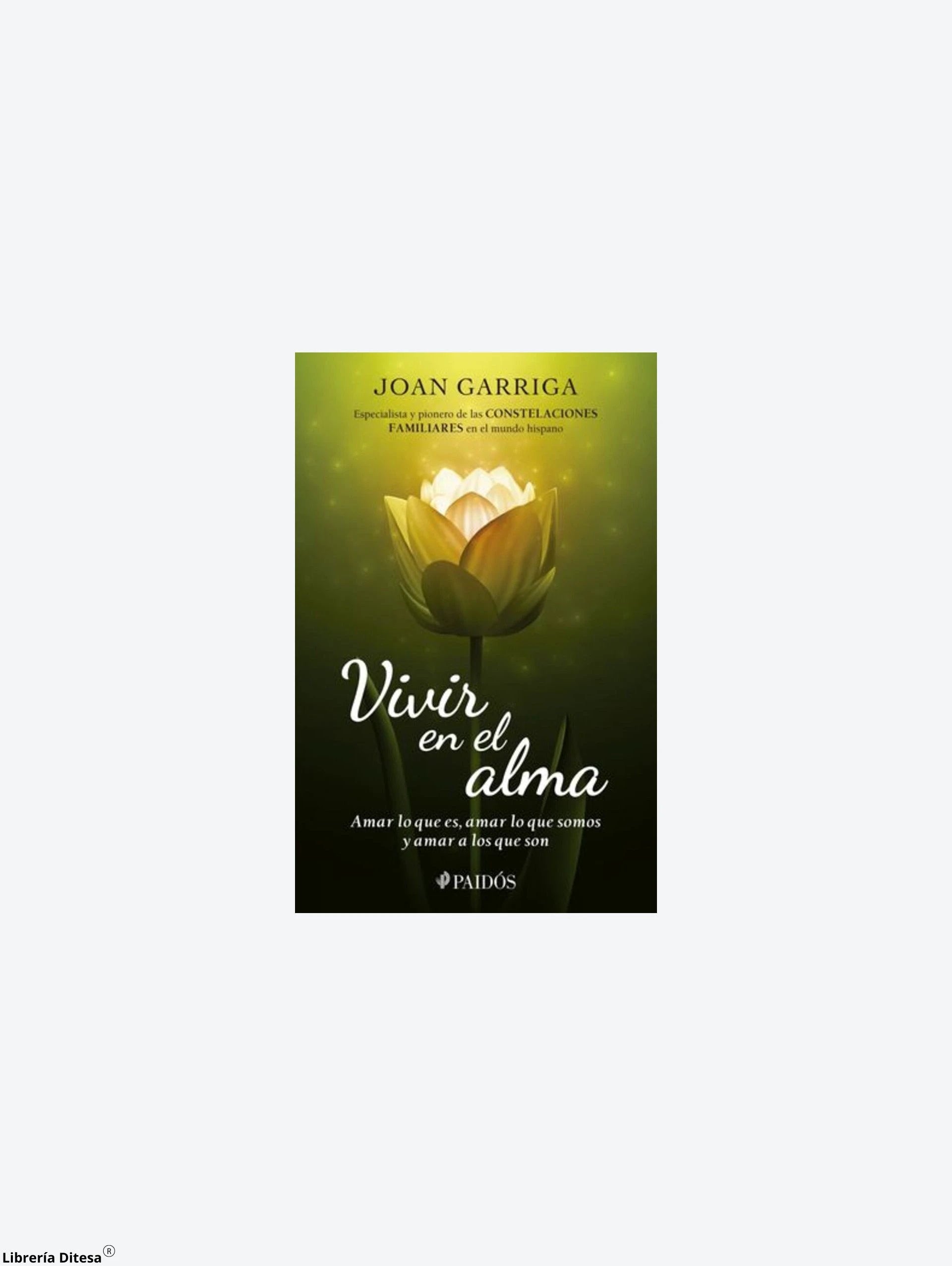 Vivir En El Alma by Paidos