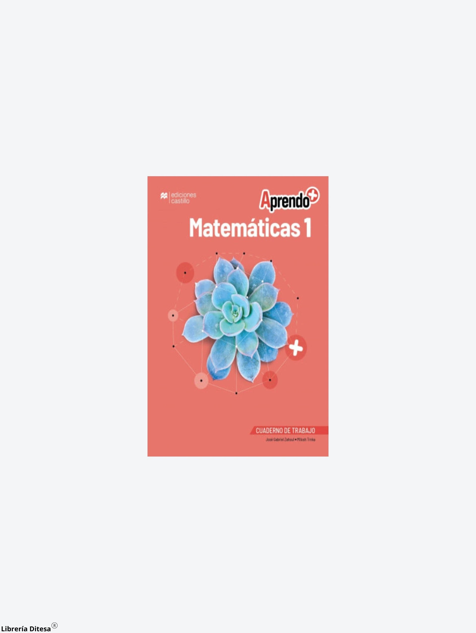 Aprendo Matematicas 1 Secundaria by Castillo