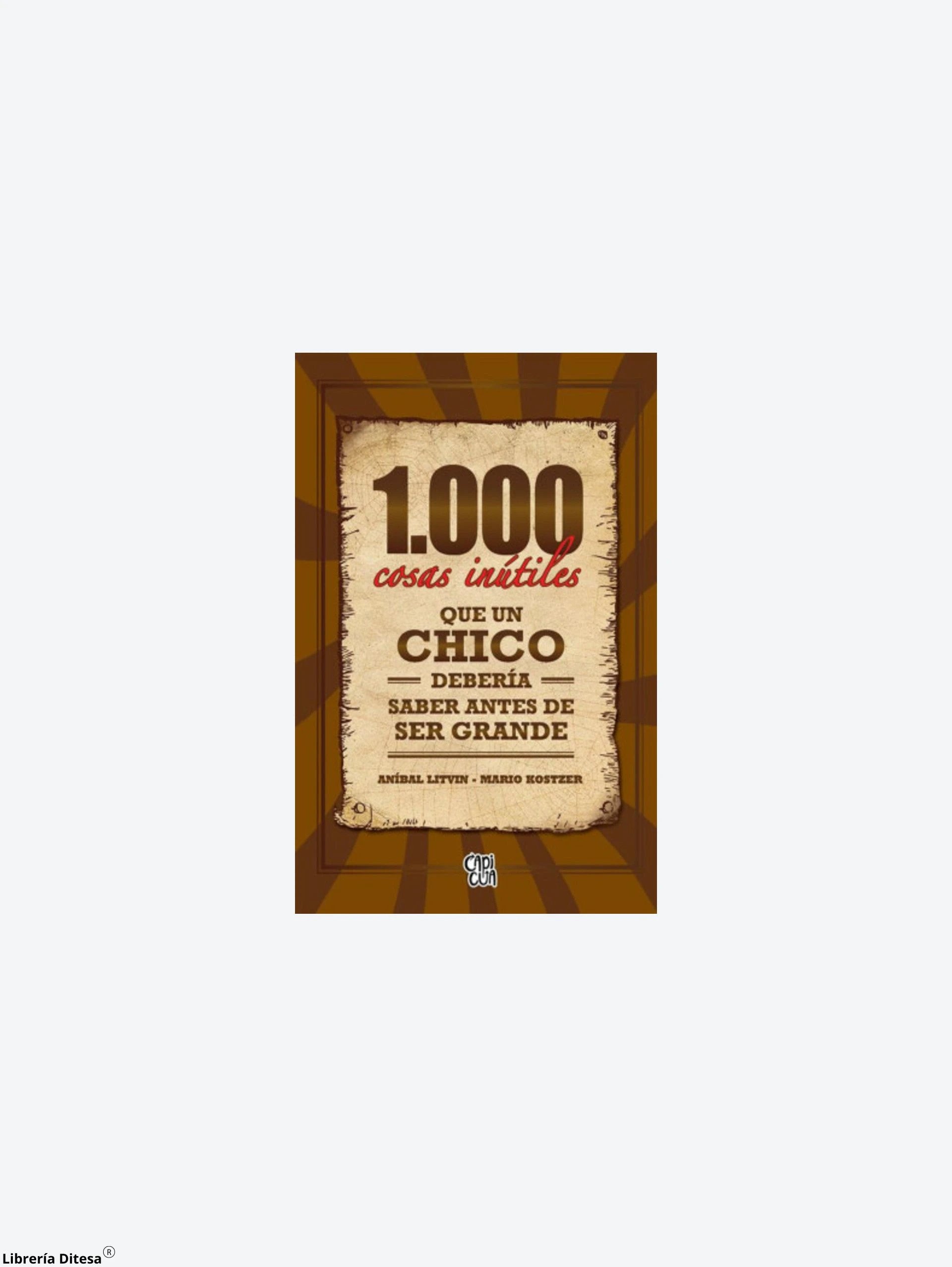 1000 Cosas Inutiles Que Un Chico Deberia by Vergara Y Riba
