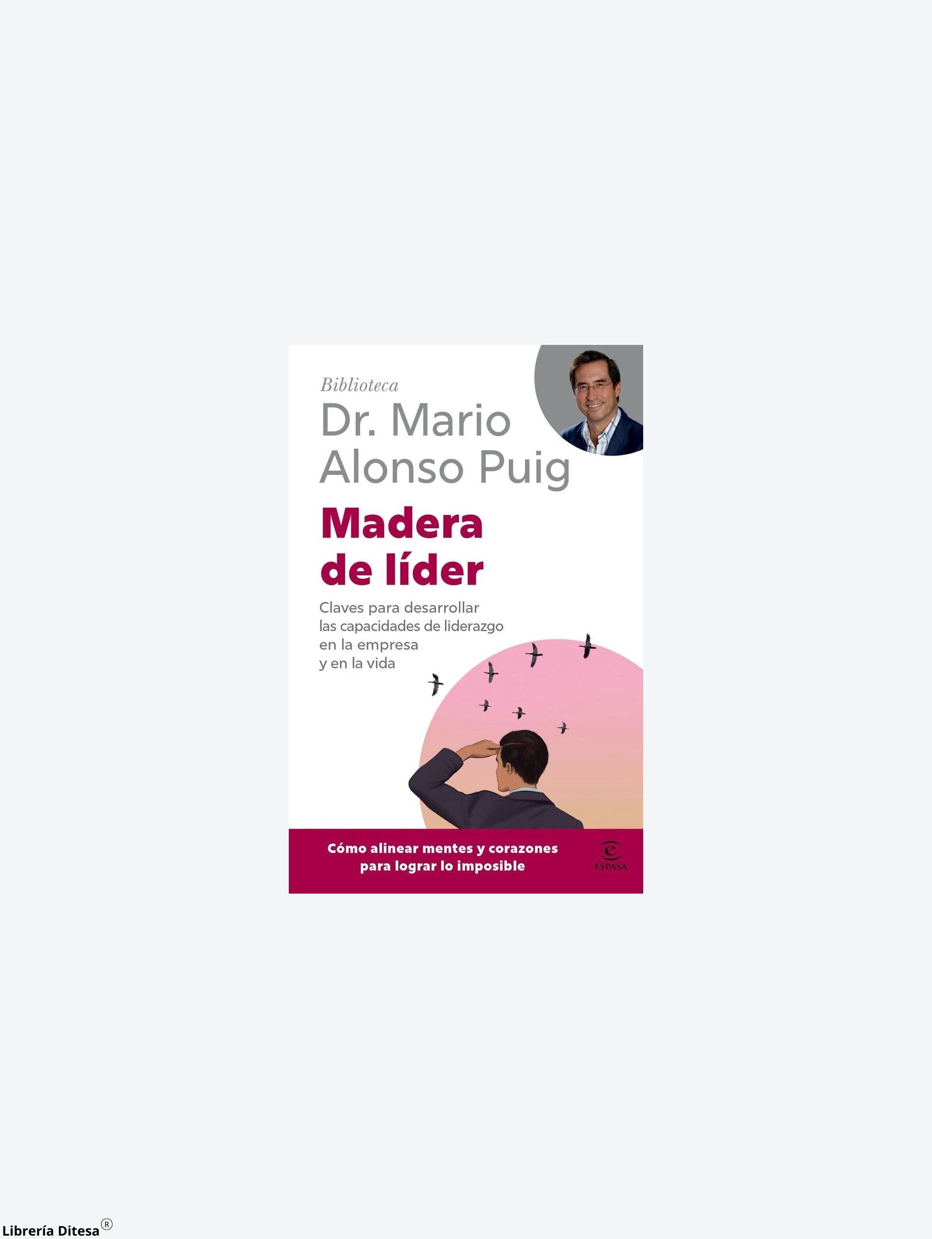 Madera De Lider by Paidos