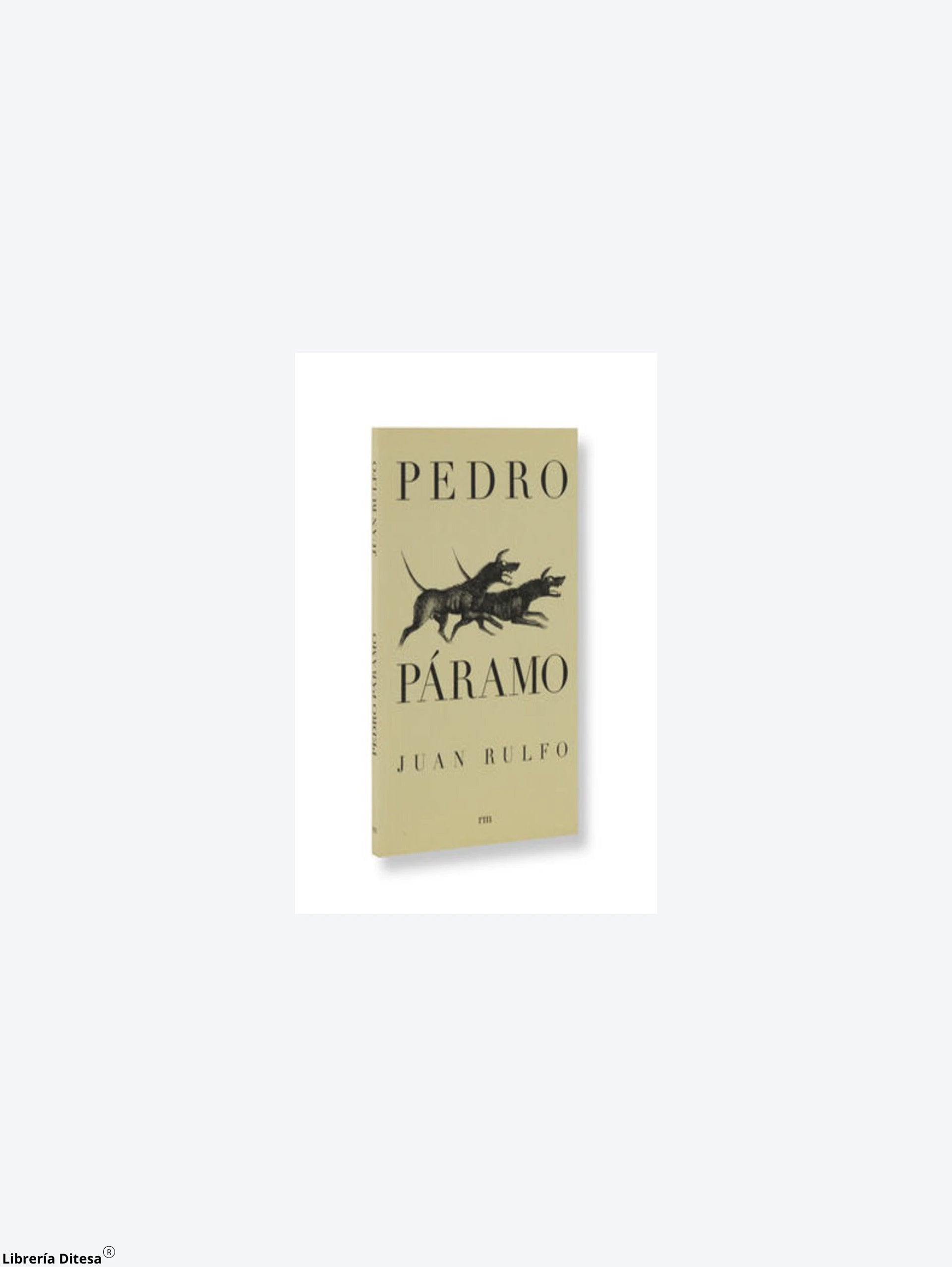 Pedro Paramo by Rm