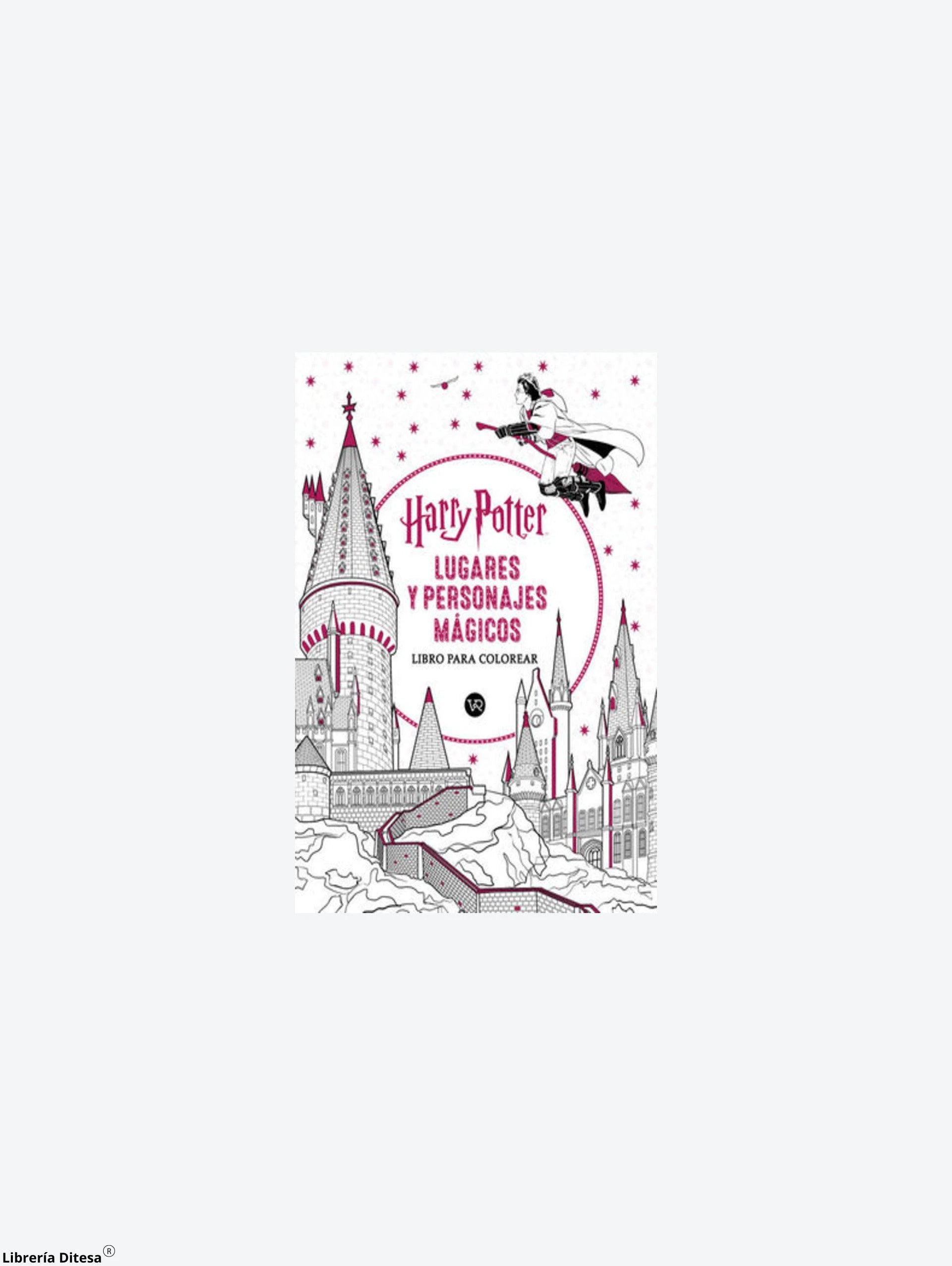 Harry Potter Lugares Y Personajes Magico by Vergara Y Riba