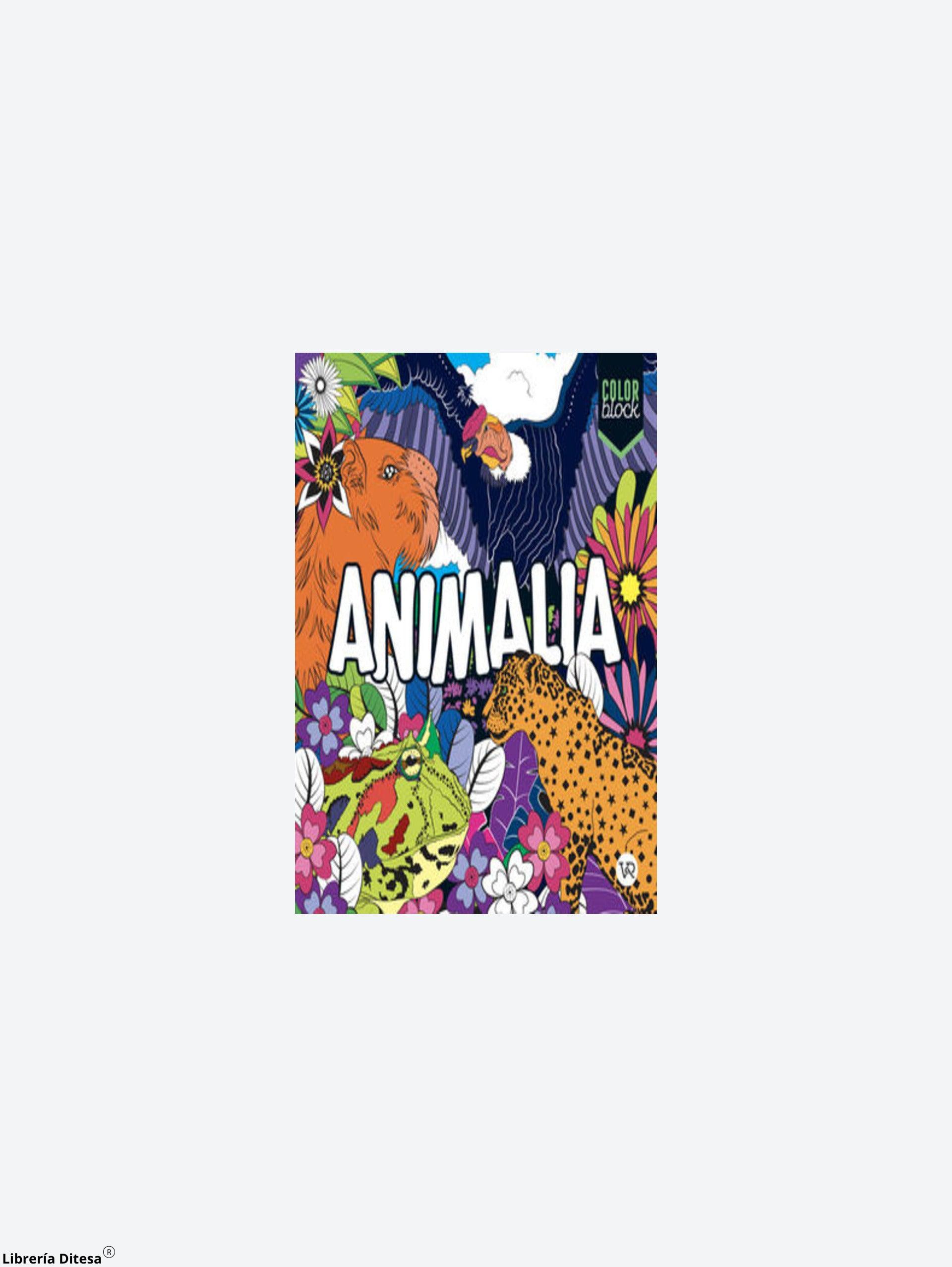 Color Block Animalia - Librería Ditesa